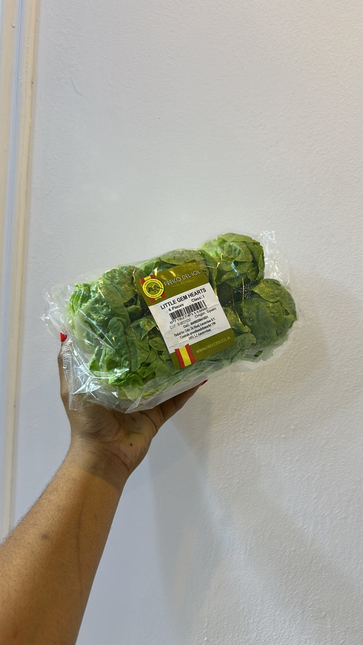 Lettuce Little Gems