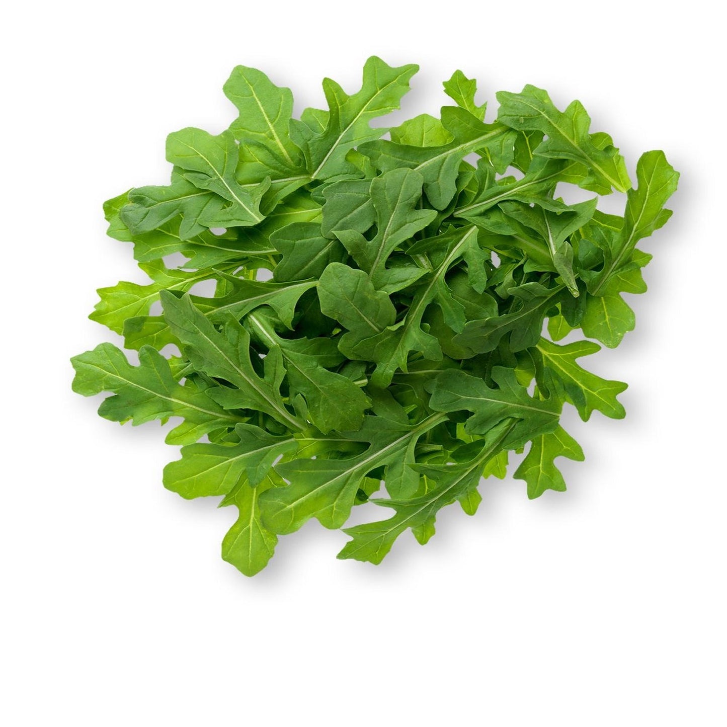 Baby Arugula