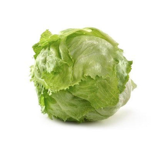 Lettuce Iceberg