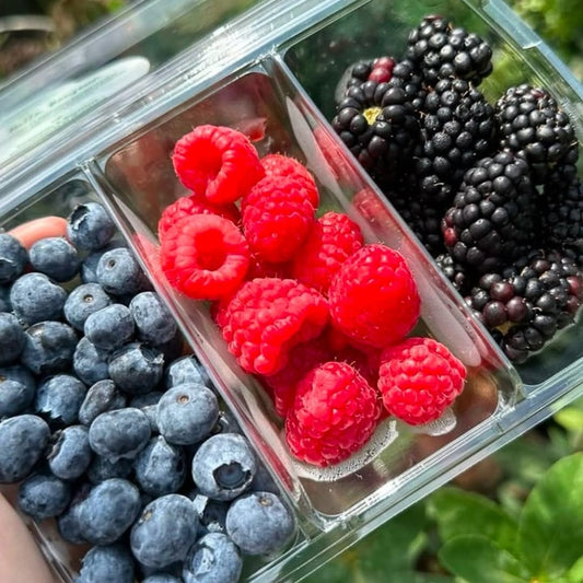 Mixed Berries