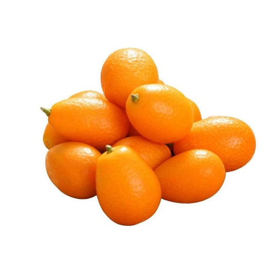 Fresh Kumquats- Exotic Fruit