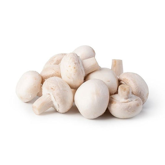 White Mushroom