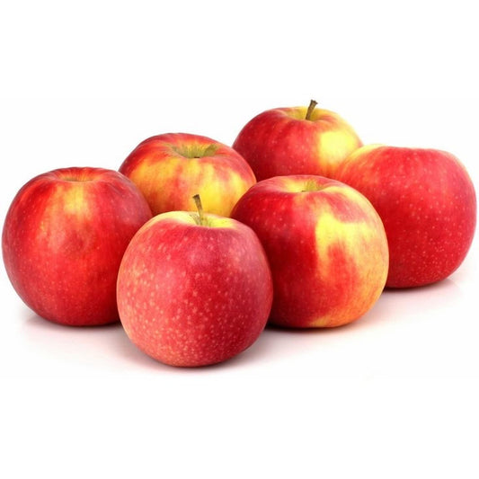 Pink Lady Apple
