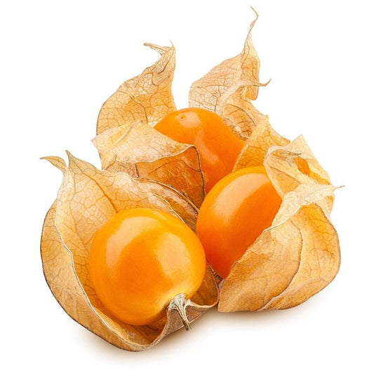 Physalis Berry
