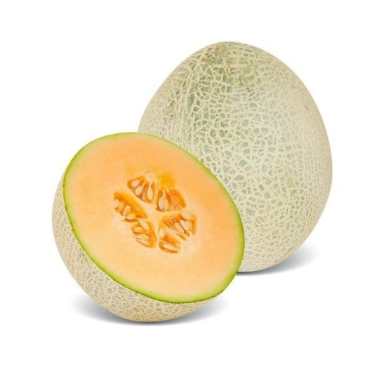 Imported Melon Canteloupe