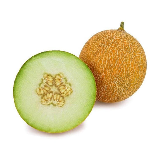 Galia Melon - Sweet and Exotic Fresh Fruit